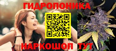 СК Партизанск