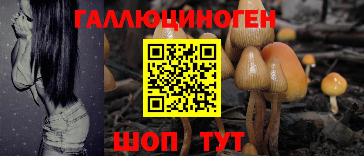 Скопин  Псилоцибиновые грибы Magic Shrooms  Вход с VPN 